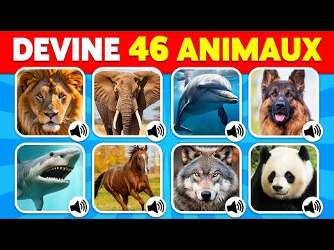 🔊 Devine le SON des ANIMAUX 🦁 | Facile, Moyen, Difficile, Impossible ✅