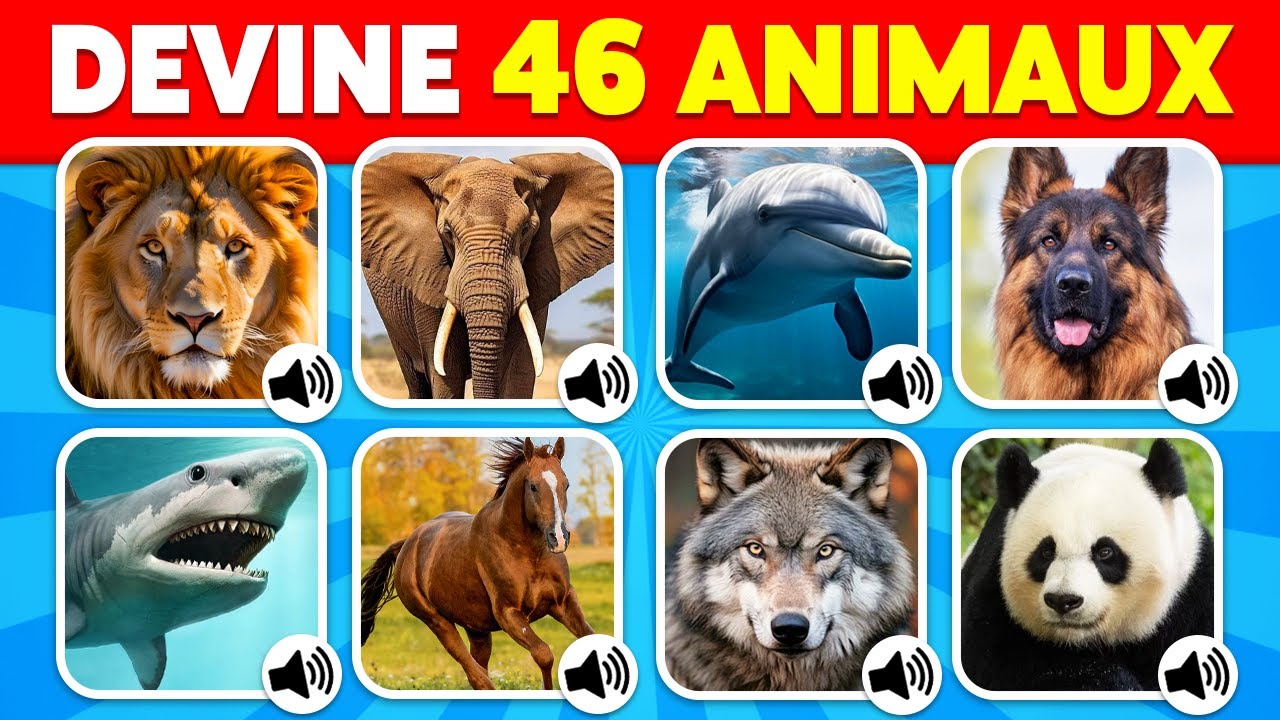 Jeu de Devine le Son des Animaux - Facile à Impossible