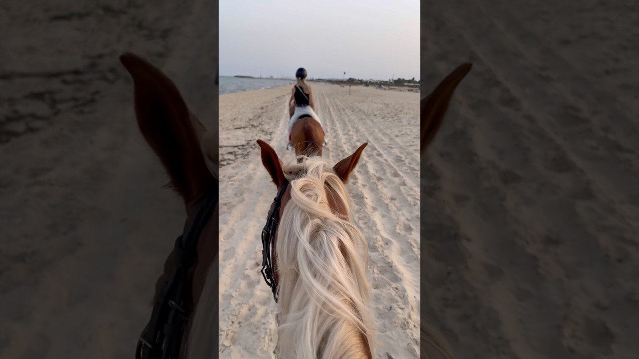 Experience the Beauty of Horseback Riding in Tunisia 🇹🇳