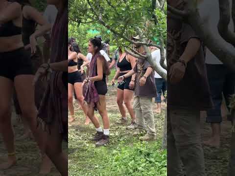 #kasol #goatrance #psytrance #psytrancevibes #psytrancefestivals #rave