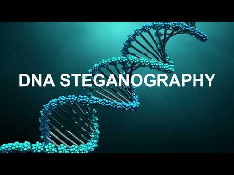 DNA Steganography Project SC 205