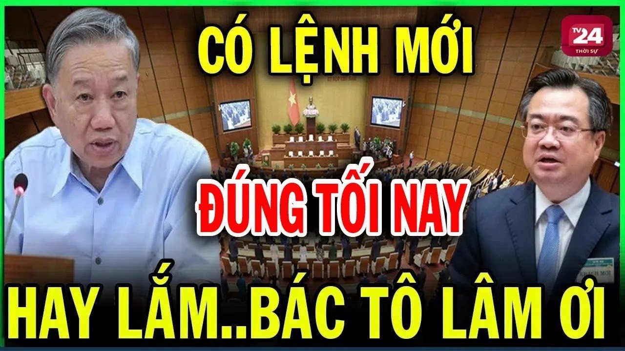 Tin Tức 24h Mới Nhất Ngày 14/11/2025 ✈️