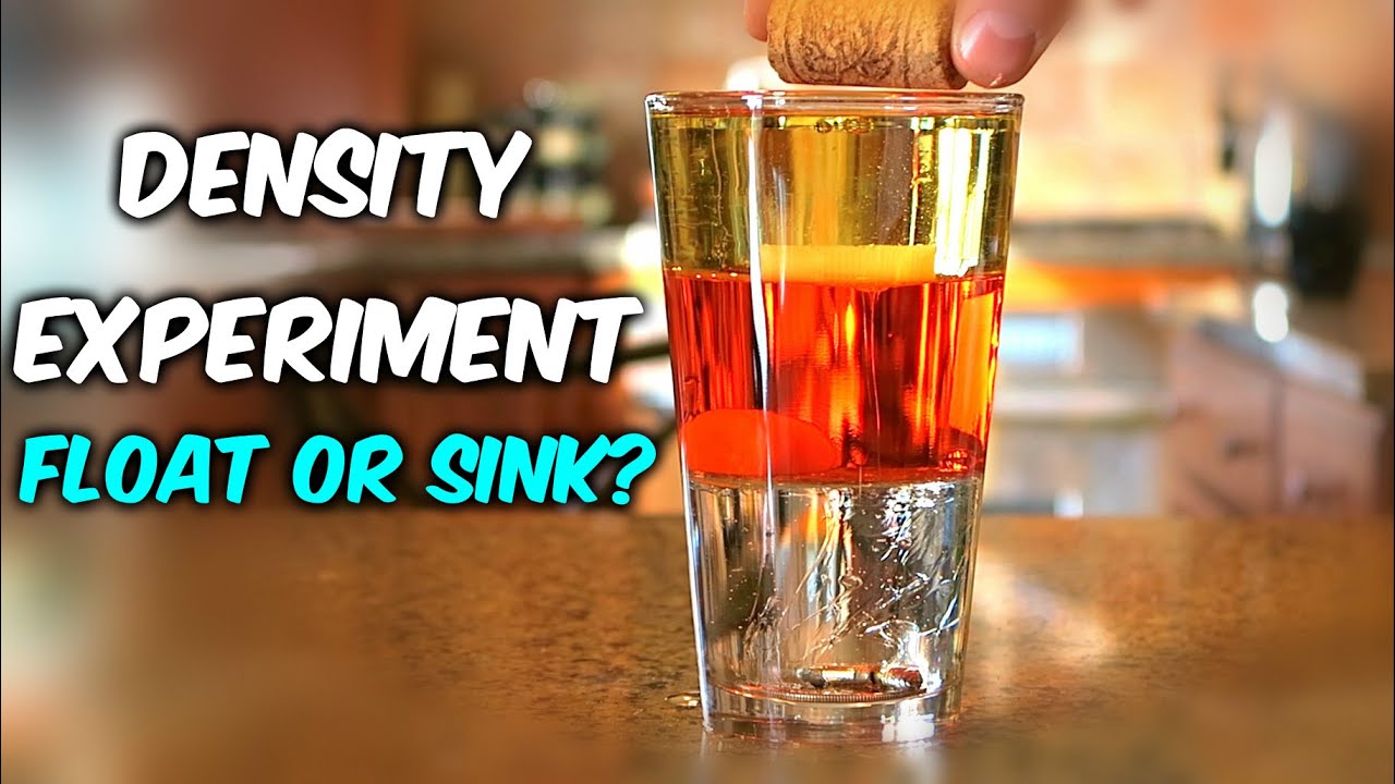 Density Experiment: Float or Sink? 🌊