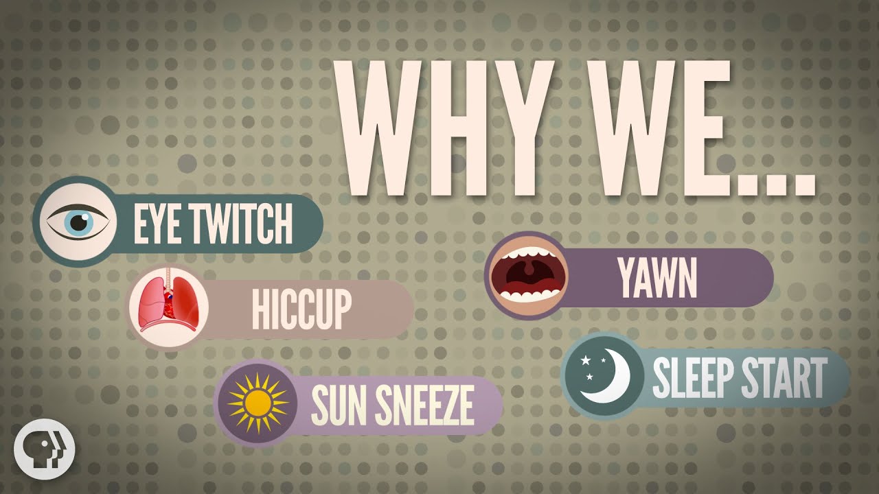 5 Strange Involuntary Actions Explained 🤔