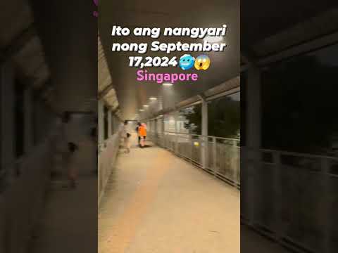 Strong wind and heavy downpour September 17, 2024 #singapore #heavyrain #strongwind #weather