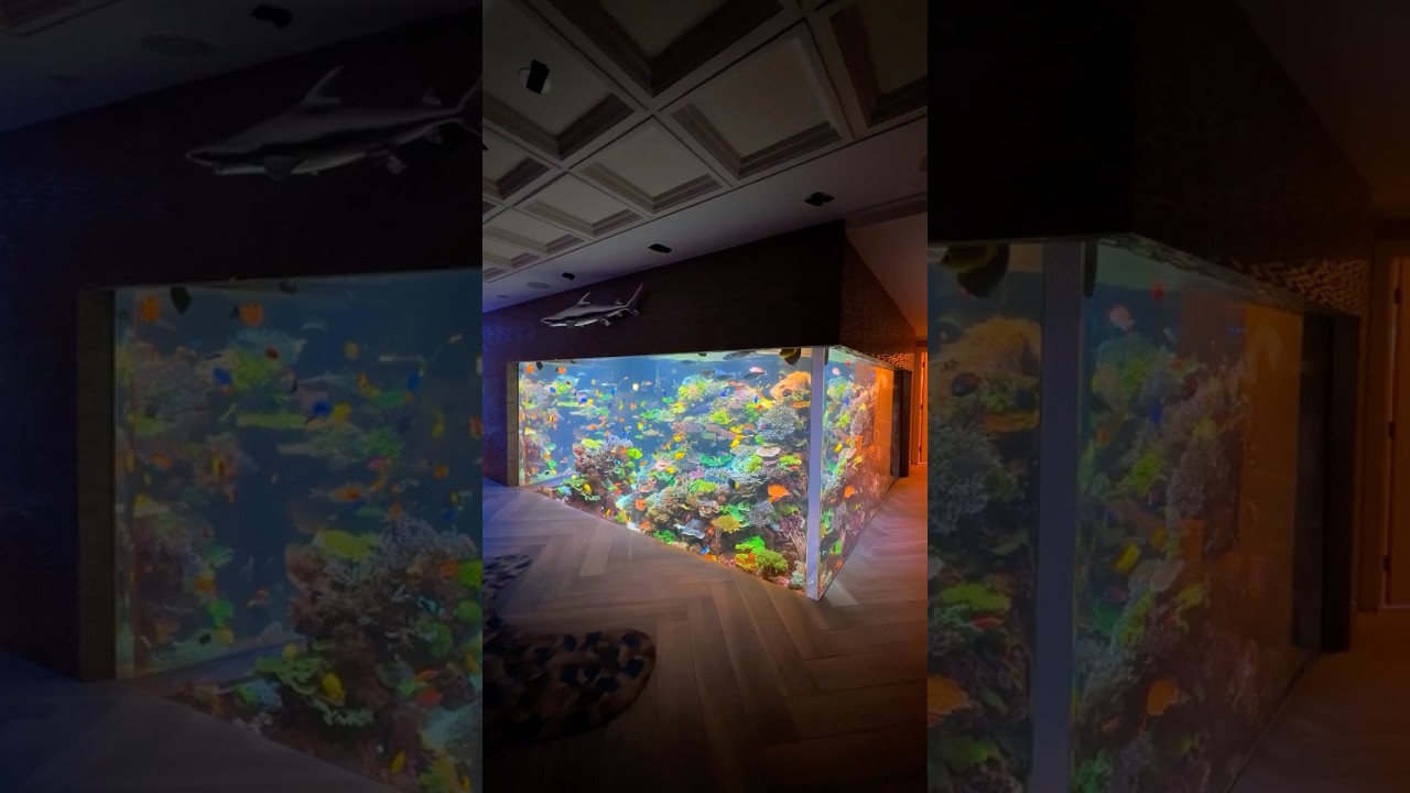 Breathtaking 17,000-Gallon Reef Tank 🌊 Dive Into the Ocean's Wonders!