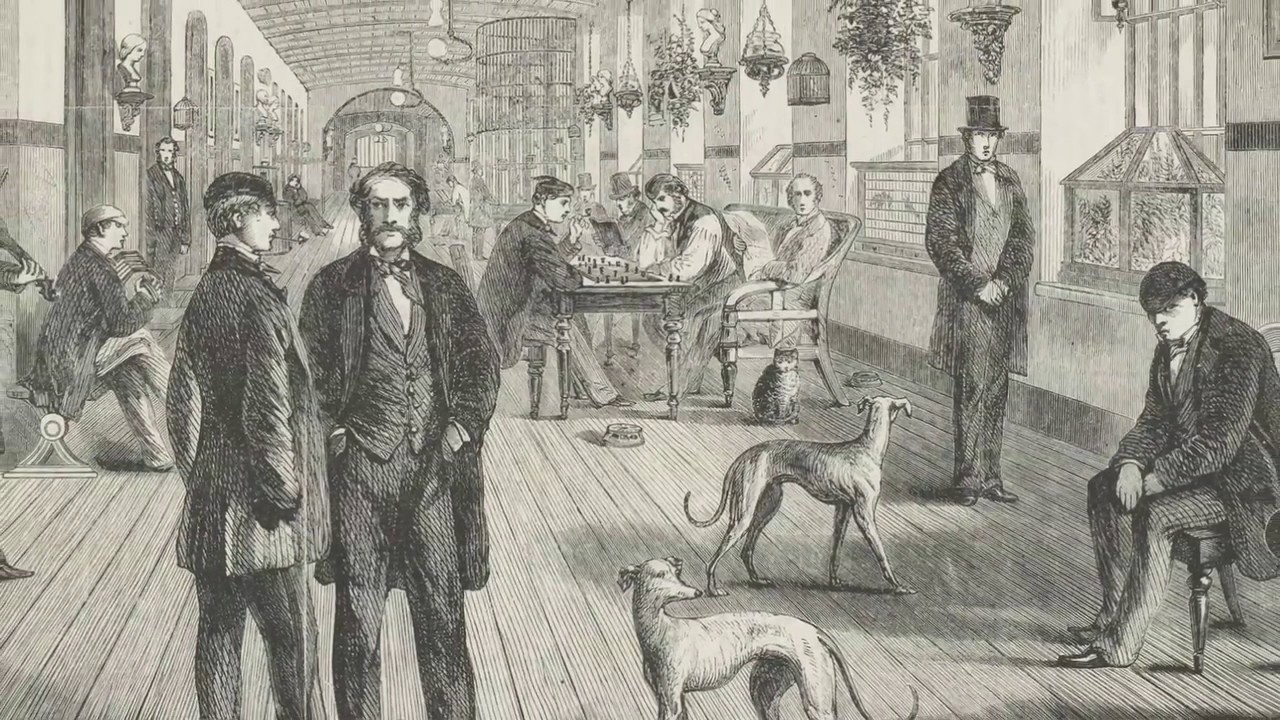 Rear Window - Bedlam: Nightmares & Utopias 🏥