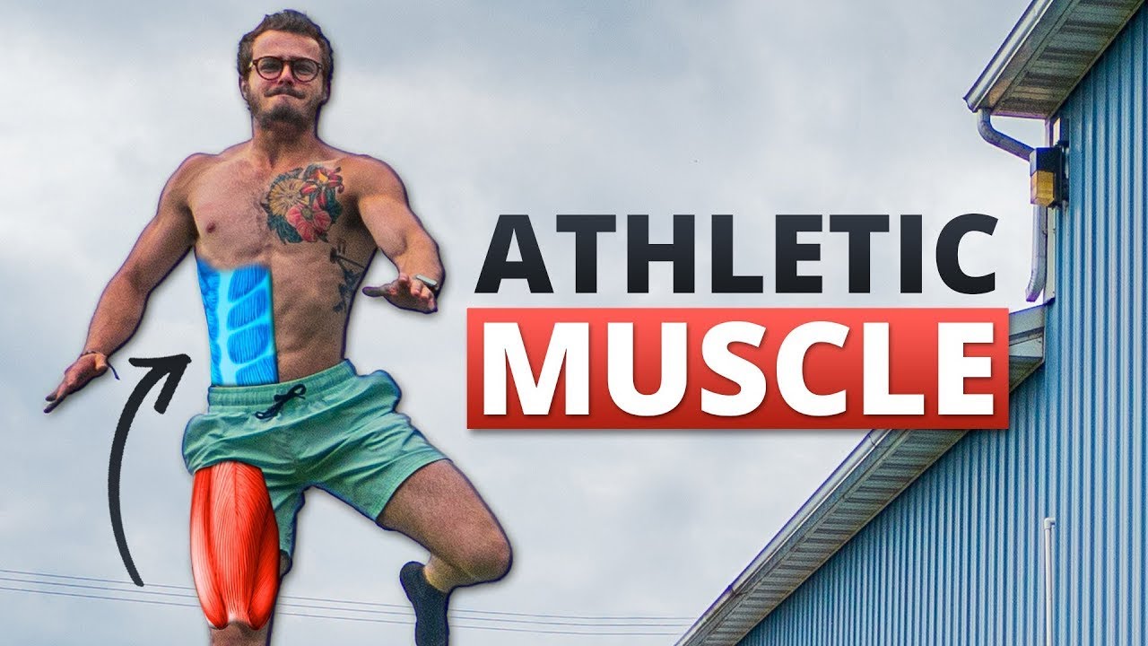 Top Exercise to Build Athletic Muscle πͺ