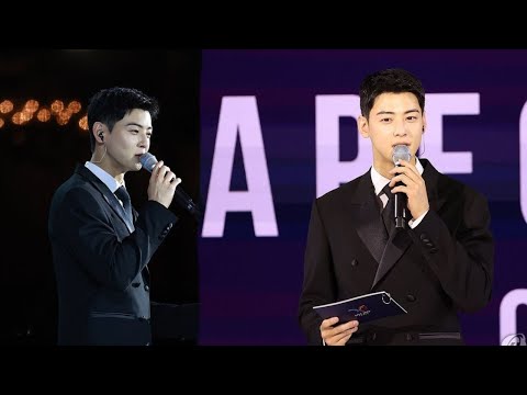 Full Video of Cha Eun Woo at The APEC 2025 Gala Dinner