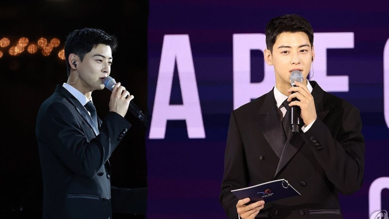 Watch Cha Eun Woo's Full Appearance at the APEC 2025 Gala Dinner 🇰🇷