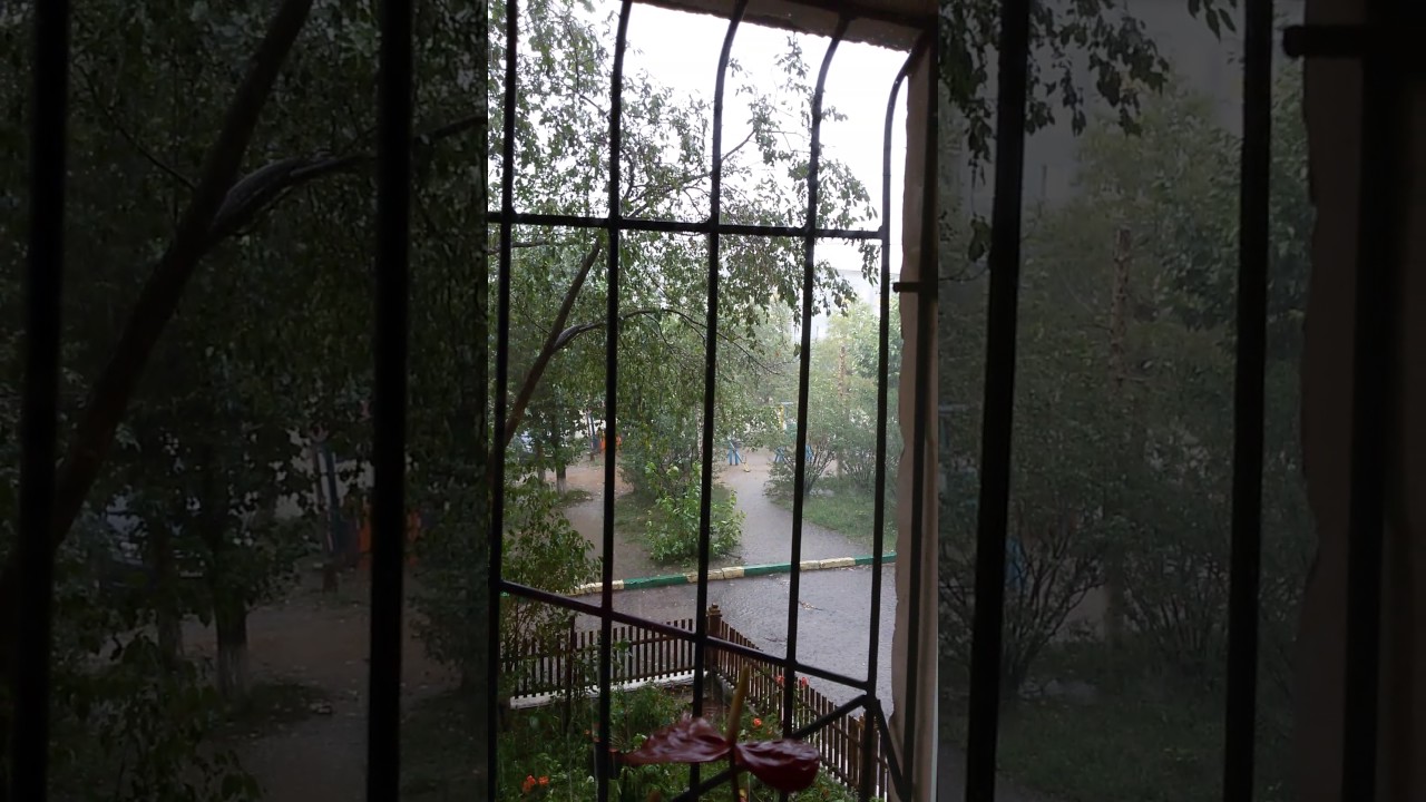 Погода в Чите: Прогноз и актуальная информация о дожде ☔