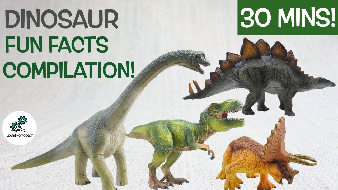 Discover Dinosaurs! | Fun & Educational Facts 🦕