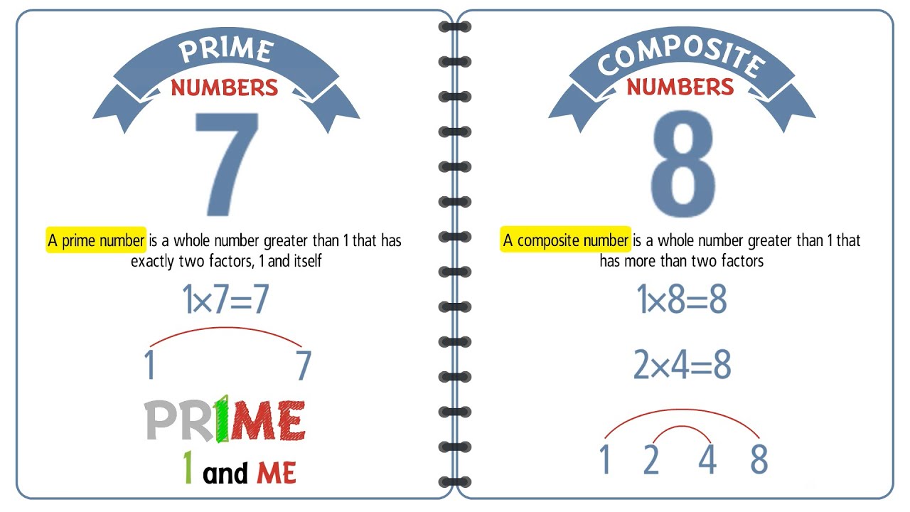 Prime & Composite Numbers for Grade 4 📚