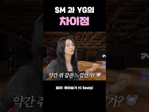SM과 YG의 차이점 #블랙핑크 #지수