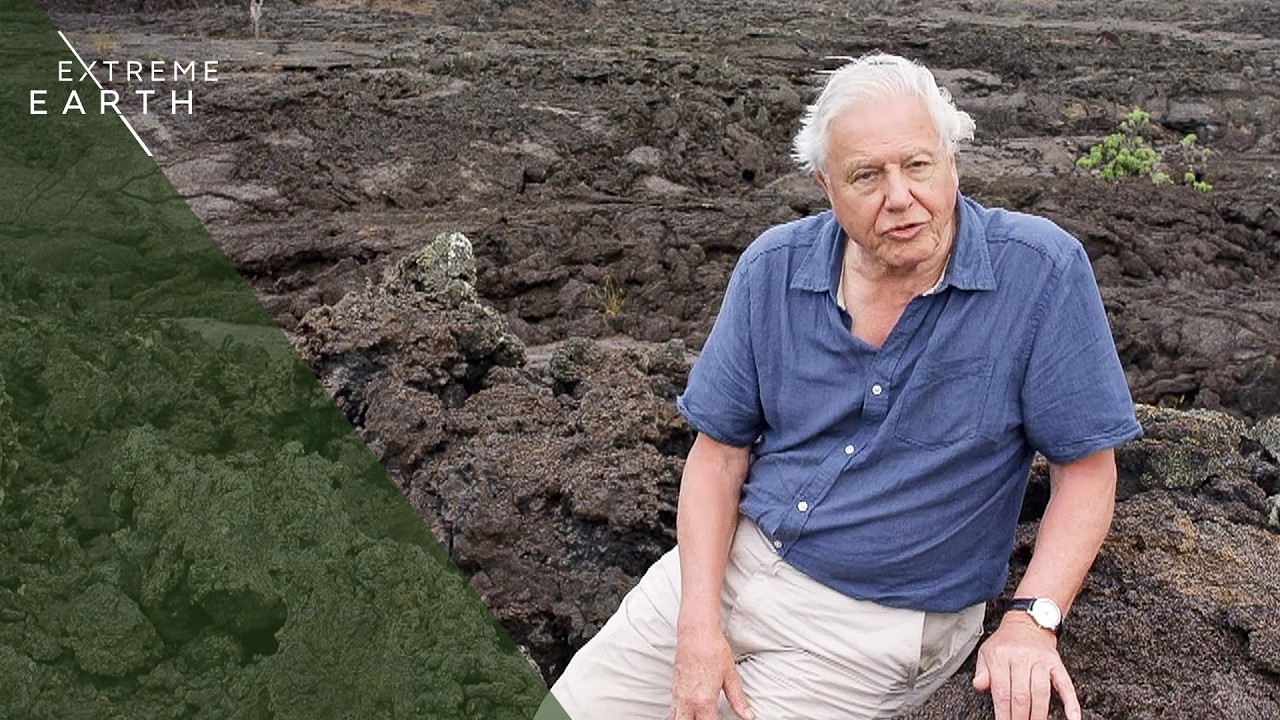 David Attenborough’s 4K Journey Through Earth’s Wonders