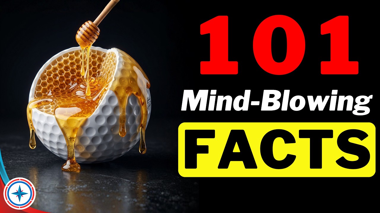101 Facts Too Weird to Believe | You've Been Lied To !!