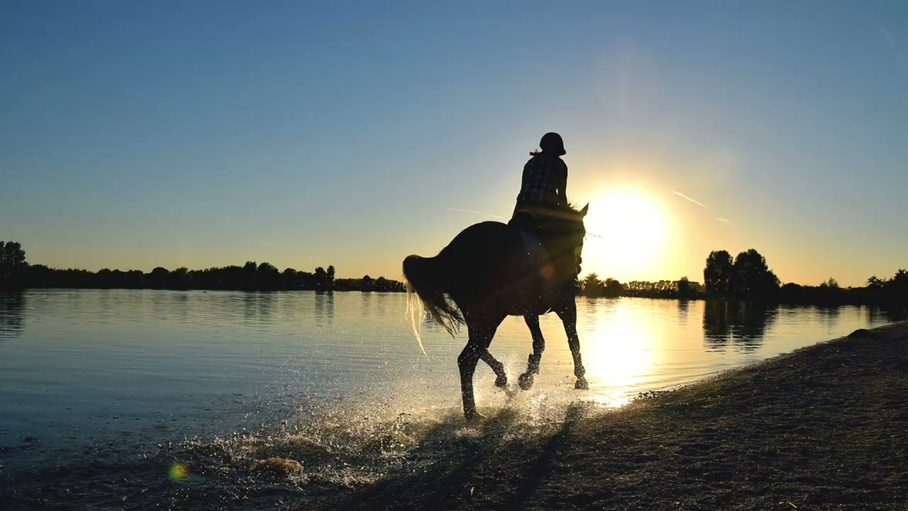 KIDA & OUALID - YA HABIBI (Official Speed-Up Version) 🎶