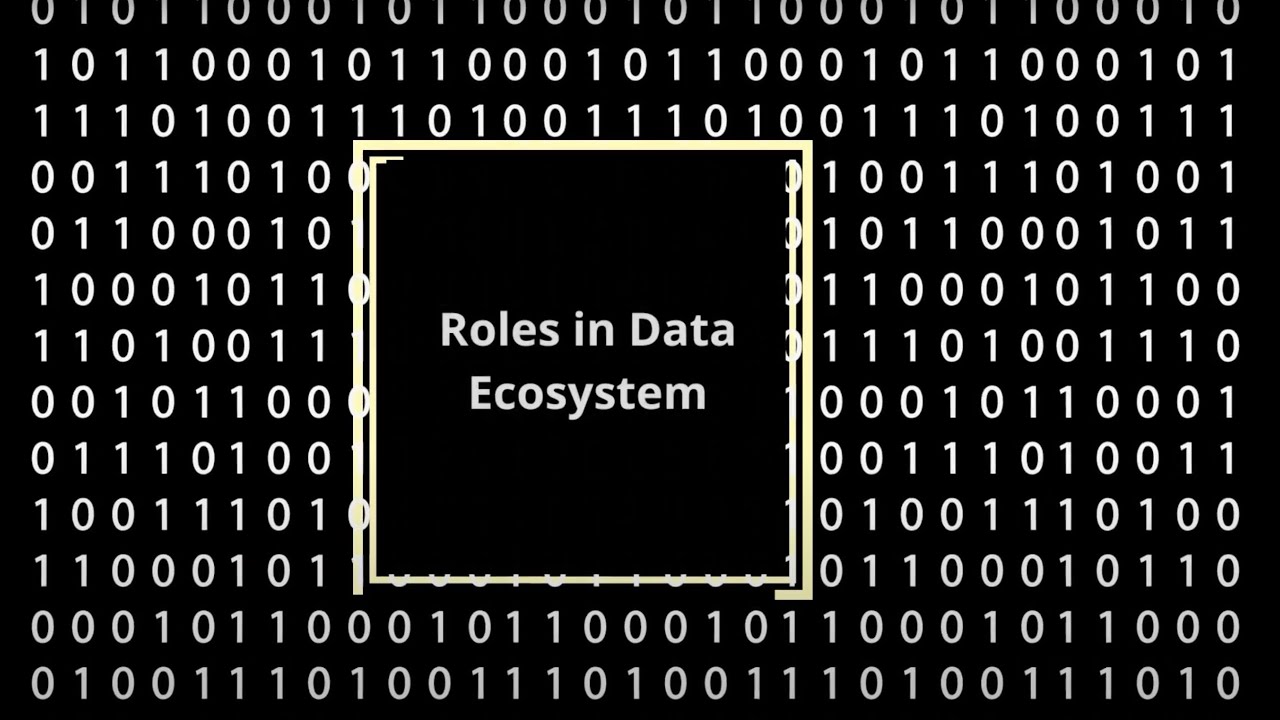 Key Roles in the Modern Data Ecosystem