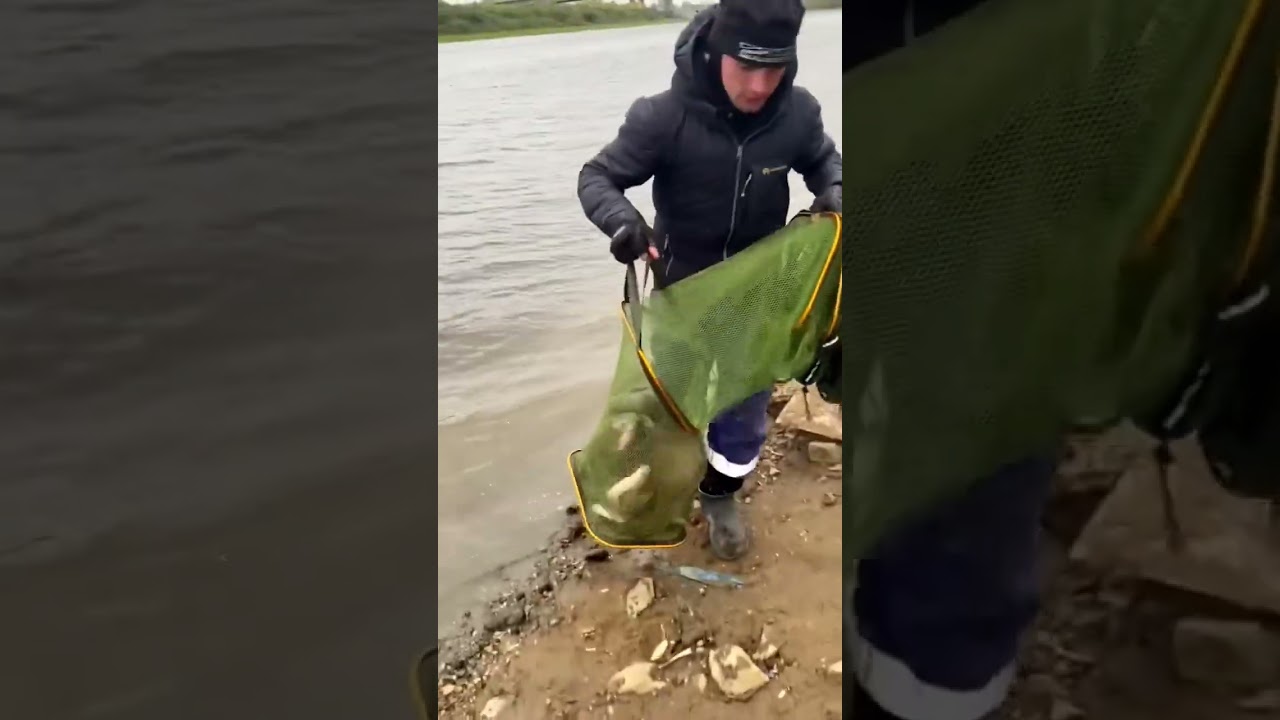 Трофейный лещ на фидер — улов, который стоит увидеть! 🎣
