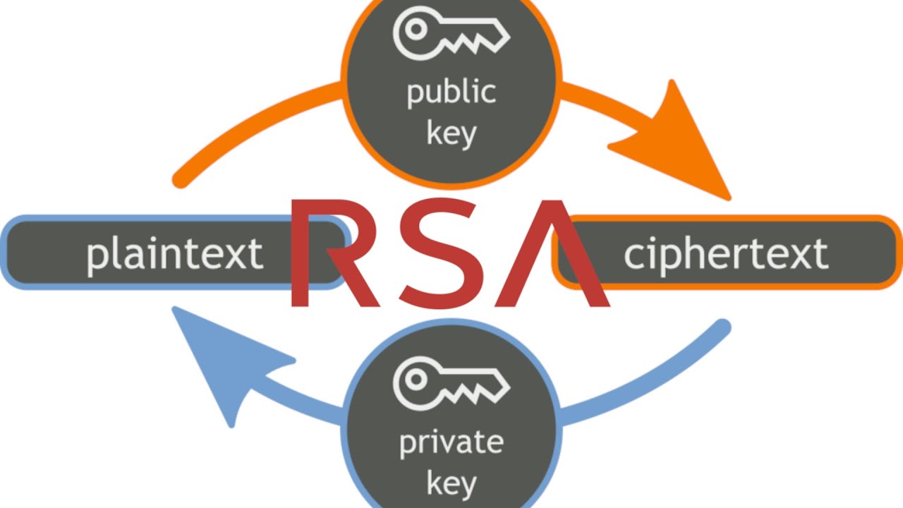 Understanding RSA Encryption: How It Secures Your Data π