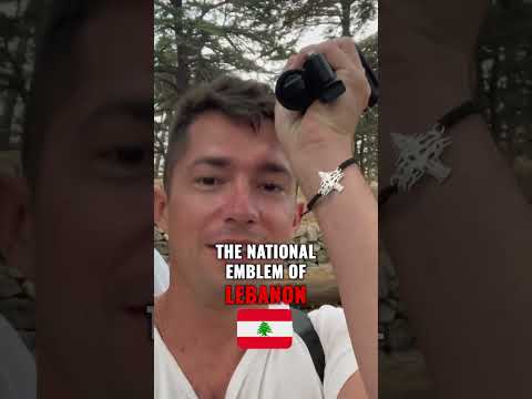 The Cedars of God in Lebanon 🇱🇧