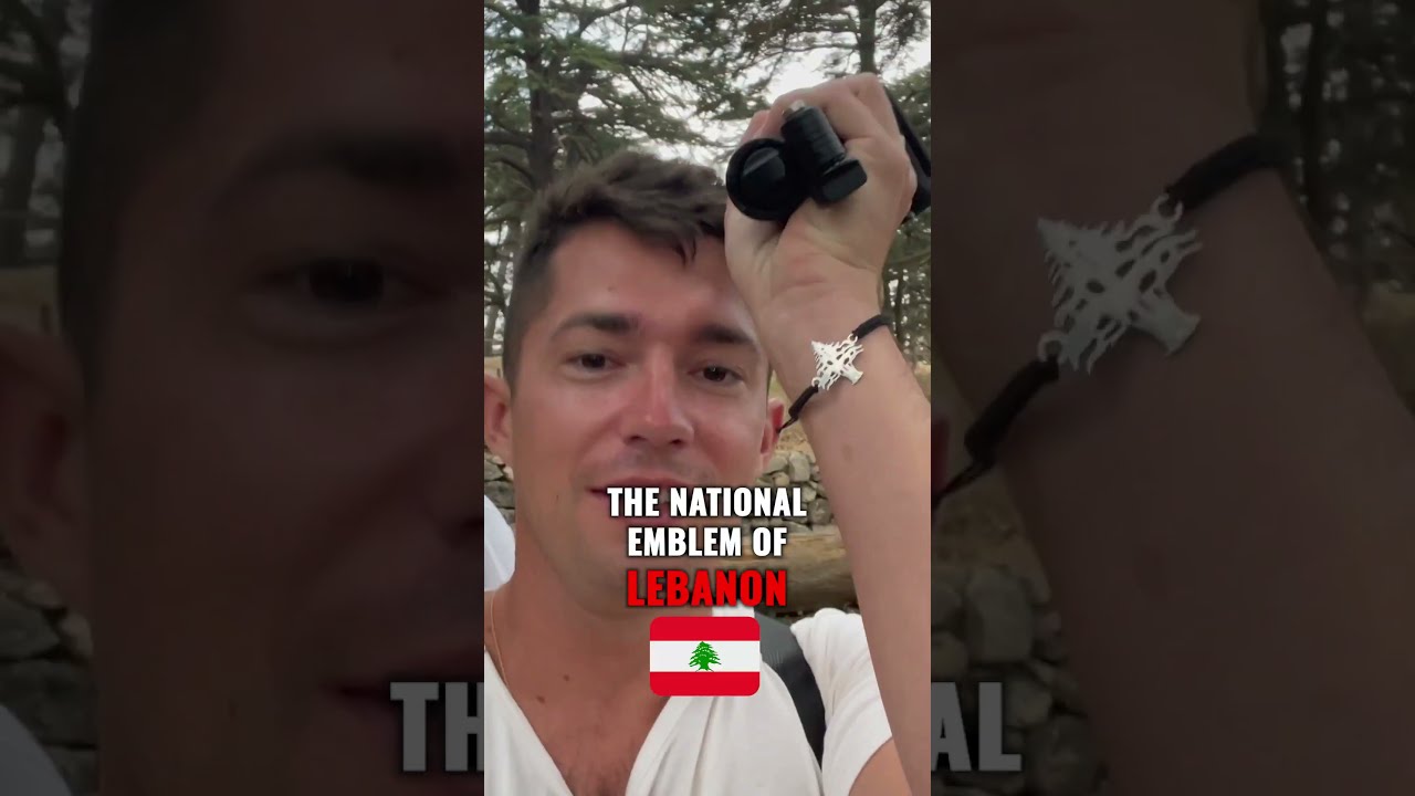 Discover the Majestic Cedars of God in Lebanon 🇱🇧 | Camera Tips & Packing Guide