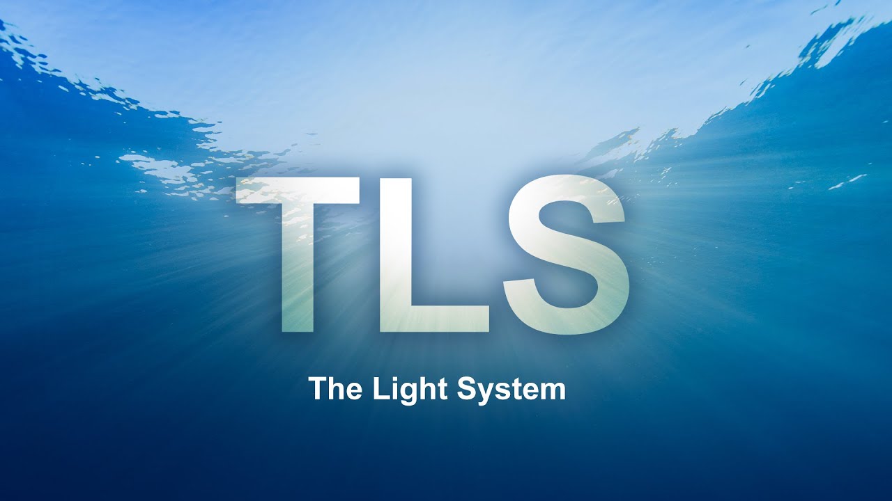 Understanding TLS: The Light System