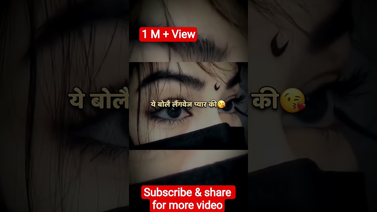Pyar Ki Language: Tu Machli Mein Pani Barga 🎶