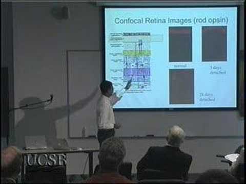 Engineering Insights: Computational Science and Engineering