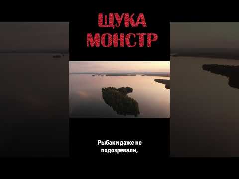 САМАЯ БОЛЬШАЯ ЩУКА в России #щука #рекорд #рыбалка #shorts