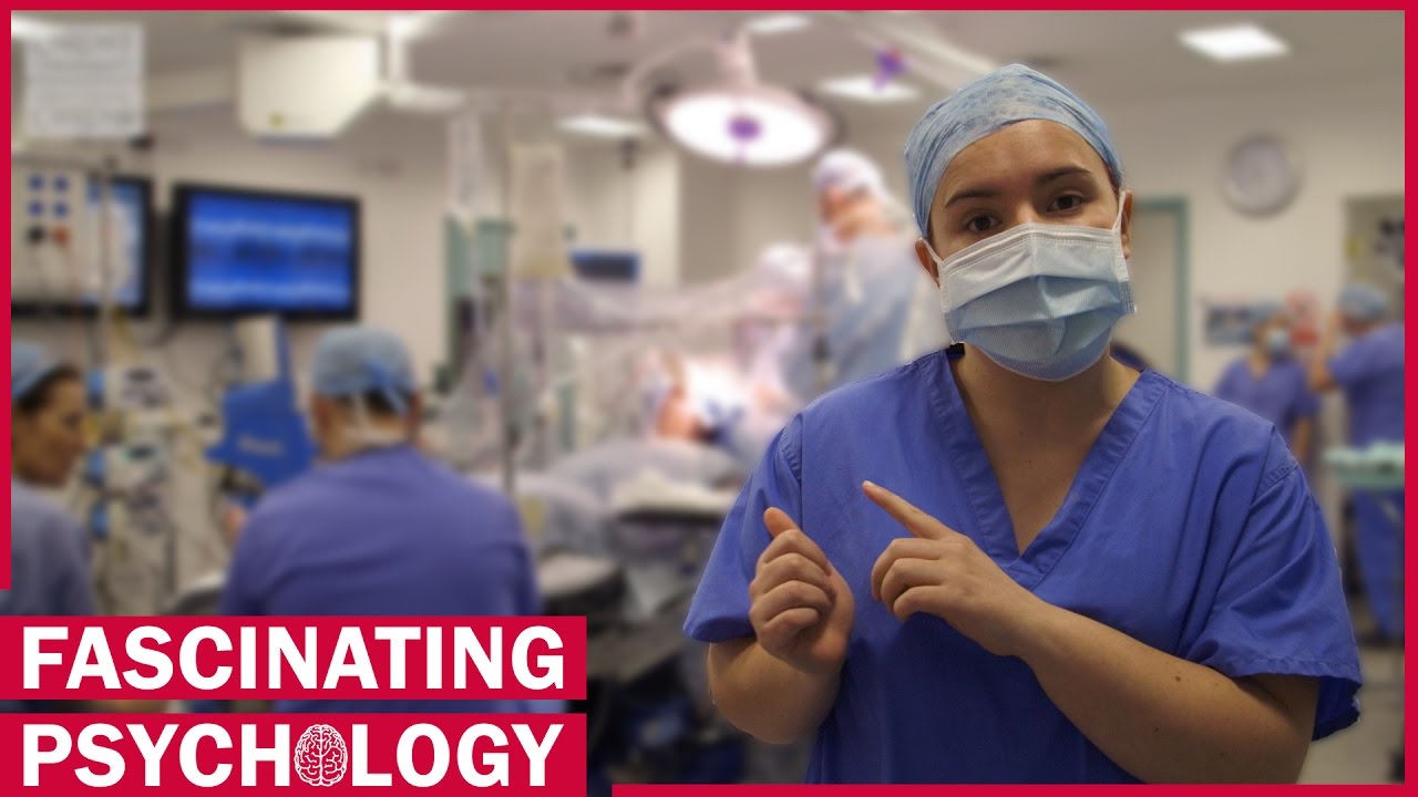 Top 5 Fascinating Brain Facts ðŸ§