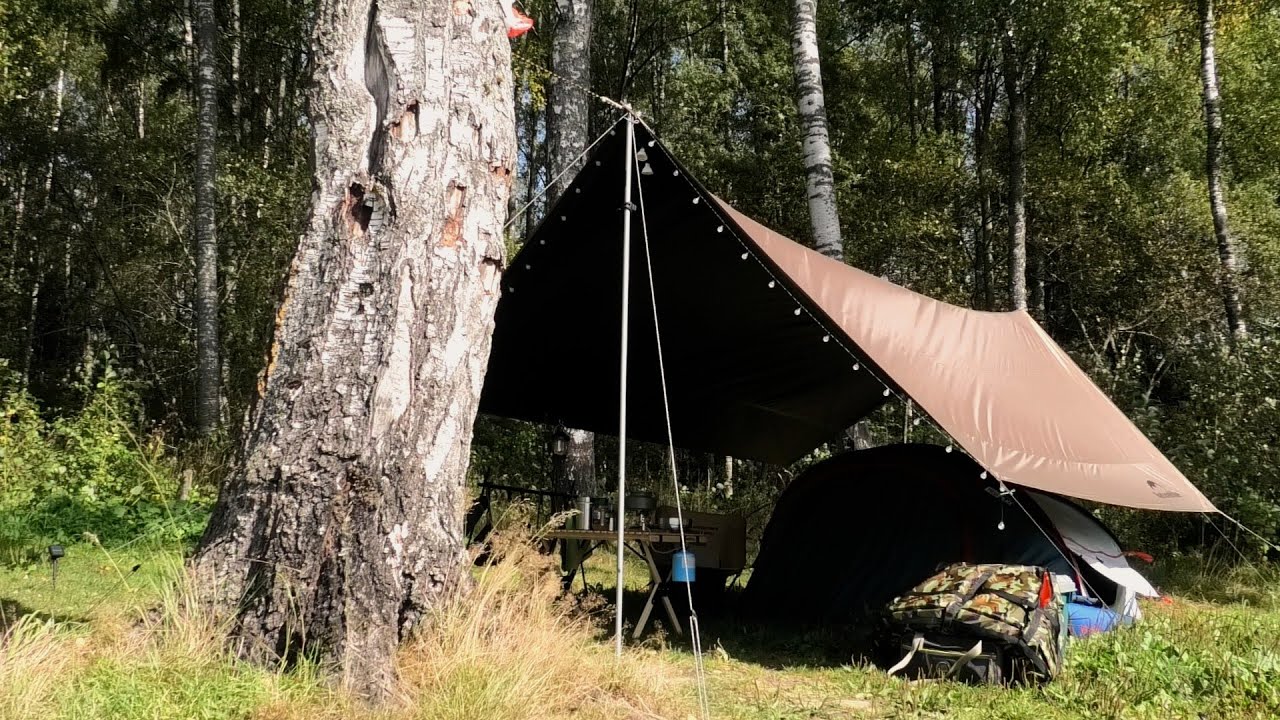 Последние дни лета: Рыбалка с ночёвкой на Яузском водохранилище 🎣