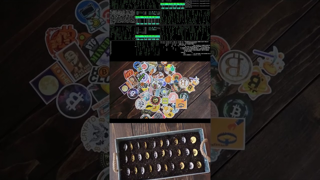 Blockchain erklärt in nur 1 Minute 🚀 – Einfach & verständlich