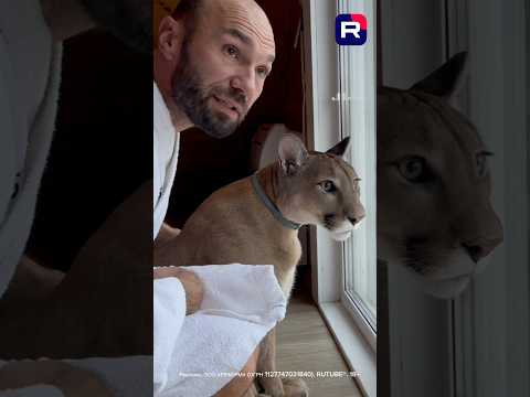 Эксклюзивно на RUTUBE