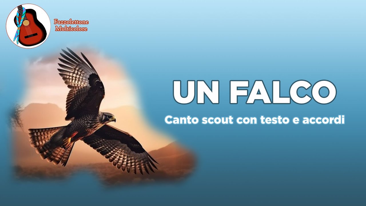 Un Falco - Canto Scout con Testo & Accordi 🦅