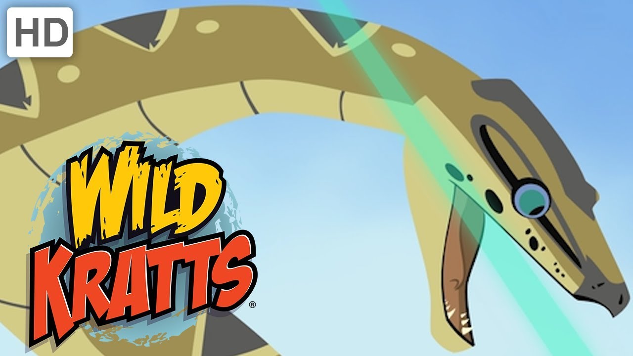 Wild Kratts: Toughest Animals in the Wild 🐾