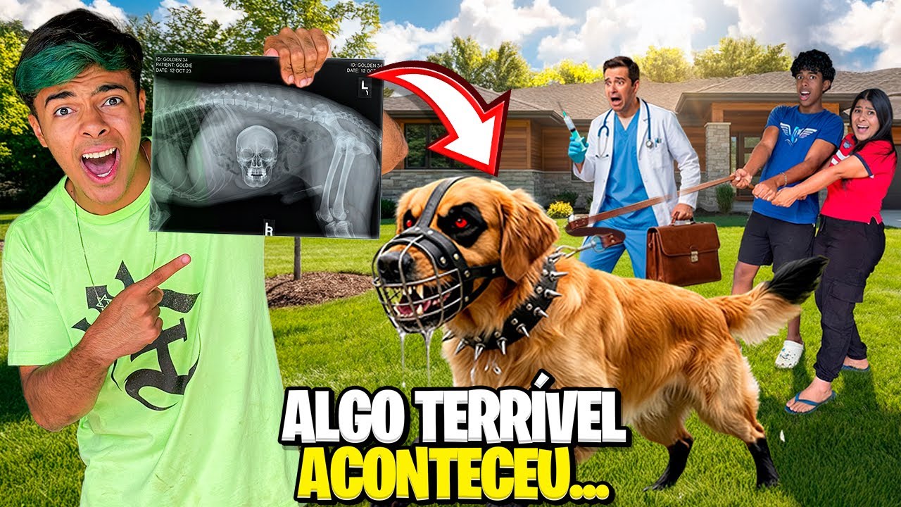 Frederico em Transformação: Resultados dos Exames 🩺