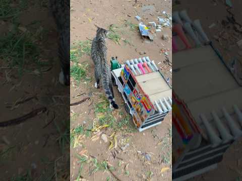 Tejal Dj top view #song #newsong #punjabisong #minidj #automobile #djpickap #djequipment #dj #punjab