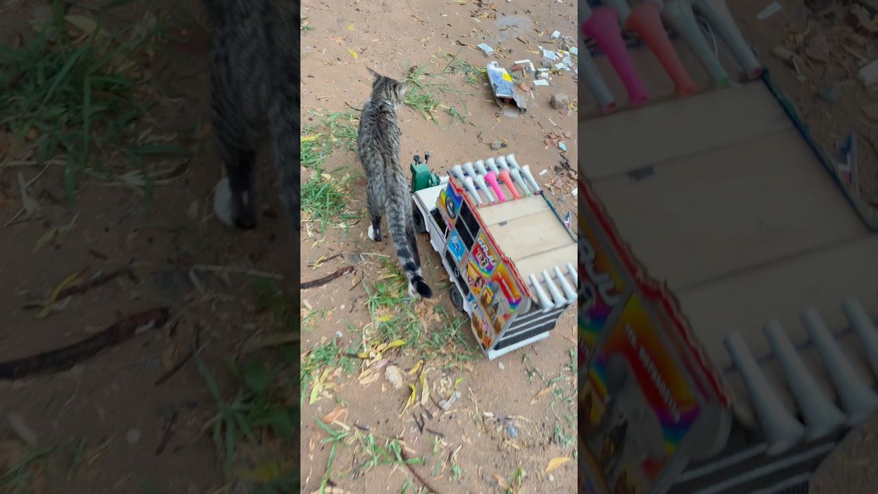 Tejal DJ Top View 🎶 New Punjabi Song & DJ Equipment