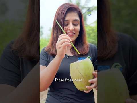 Eco-friendly straws made from grass that can replace plastic straws in India