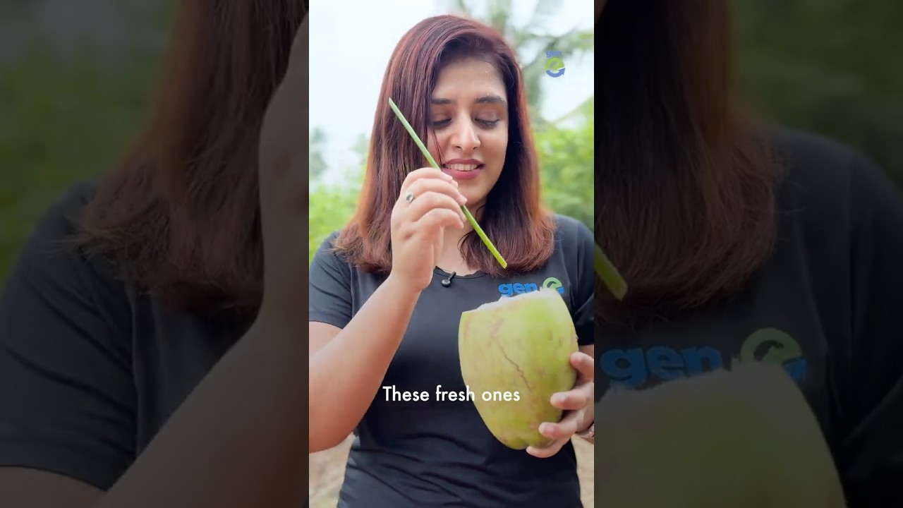 Eco-Friendly Grass Straws: The Sustainable Alternative to Plastic in India 🌱