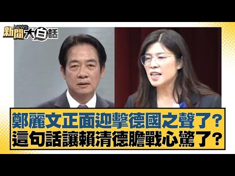 鄭麗文正面迎擊德國之聲了？這句話讓賴清德膽戰心驚了？【#新聞大白話】20251101-8｜#羅旺哲 #王鴻薇 #鄭村棋 @tvbstalk
