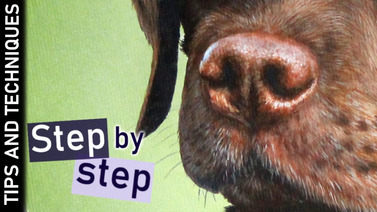 Acrylic Dog Nose Painting Step-by-Step 🐶
