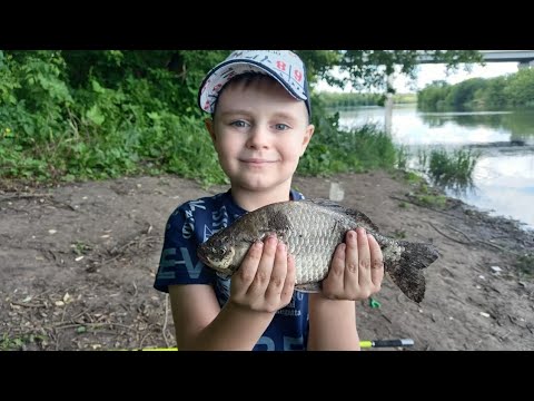 Рыбалка в июне 2024: немного поймал на реке Быстрая Сосна 🎣