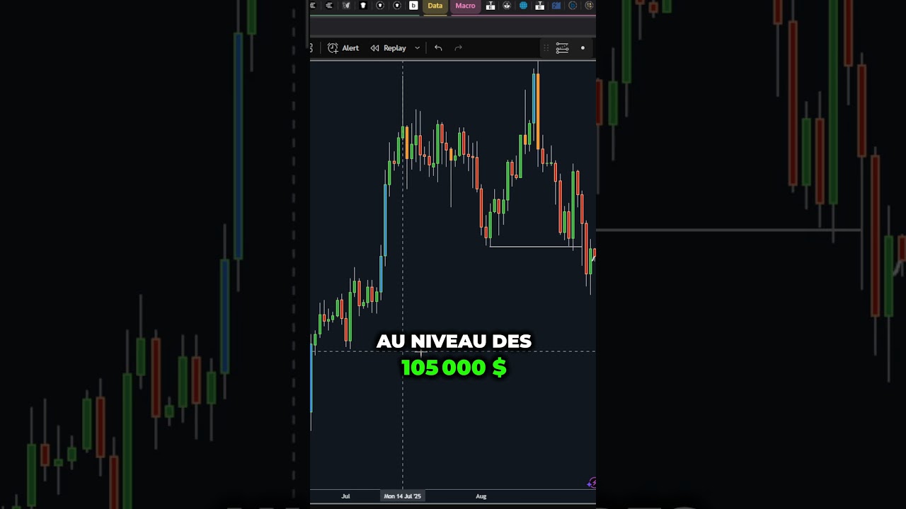 Trump Investit dans une Crypto Prometteuse — Attention au Bitcoin! 🚨