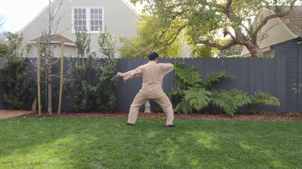 Hunyuan Taichi 83 Form Practice at Faster Pace π₯