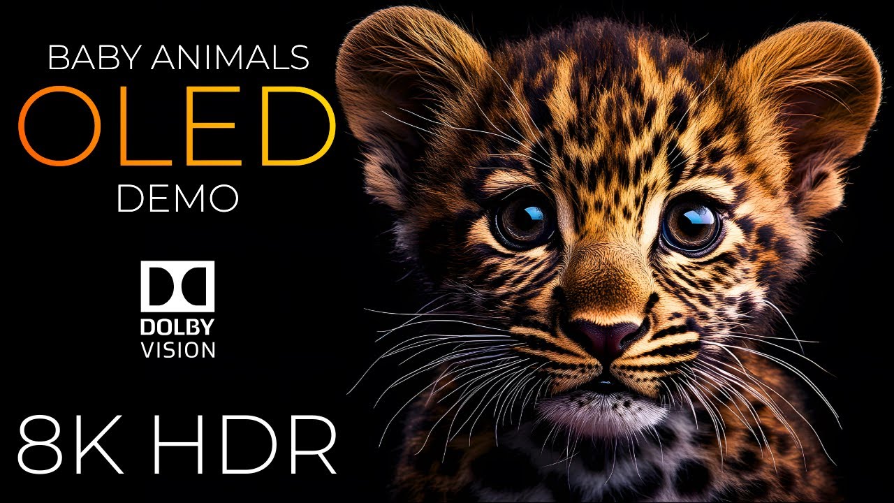 Stunning Baby Animals in 8K HDR OLED Demo 🐾