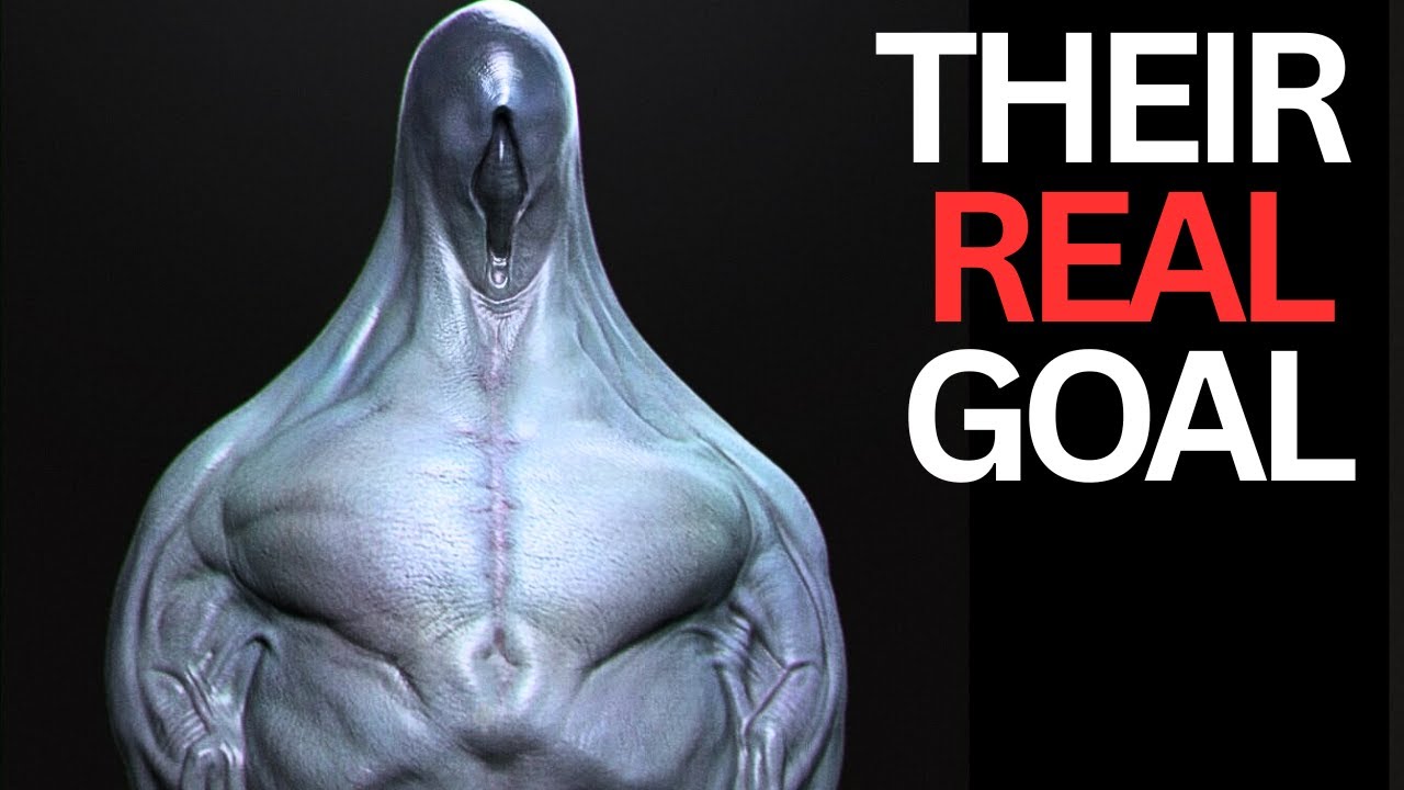 Arrival's Aliens: The Hidden Reason for Their Visit 🤔