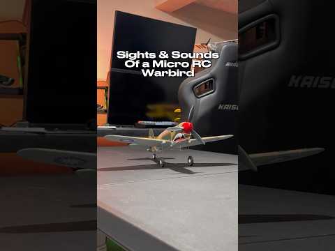 Sights & Sounds of a Warbird RC Plane! 💥