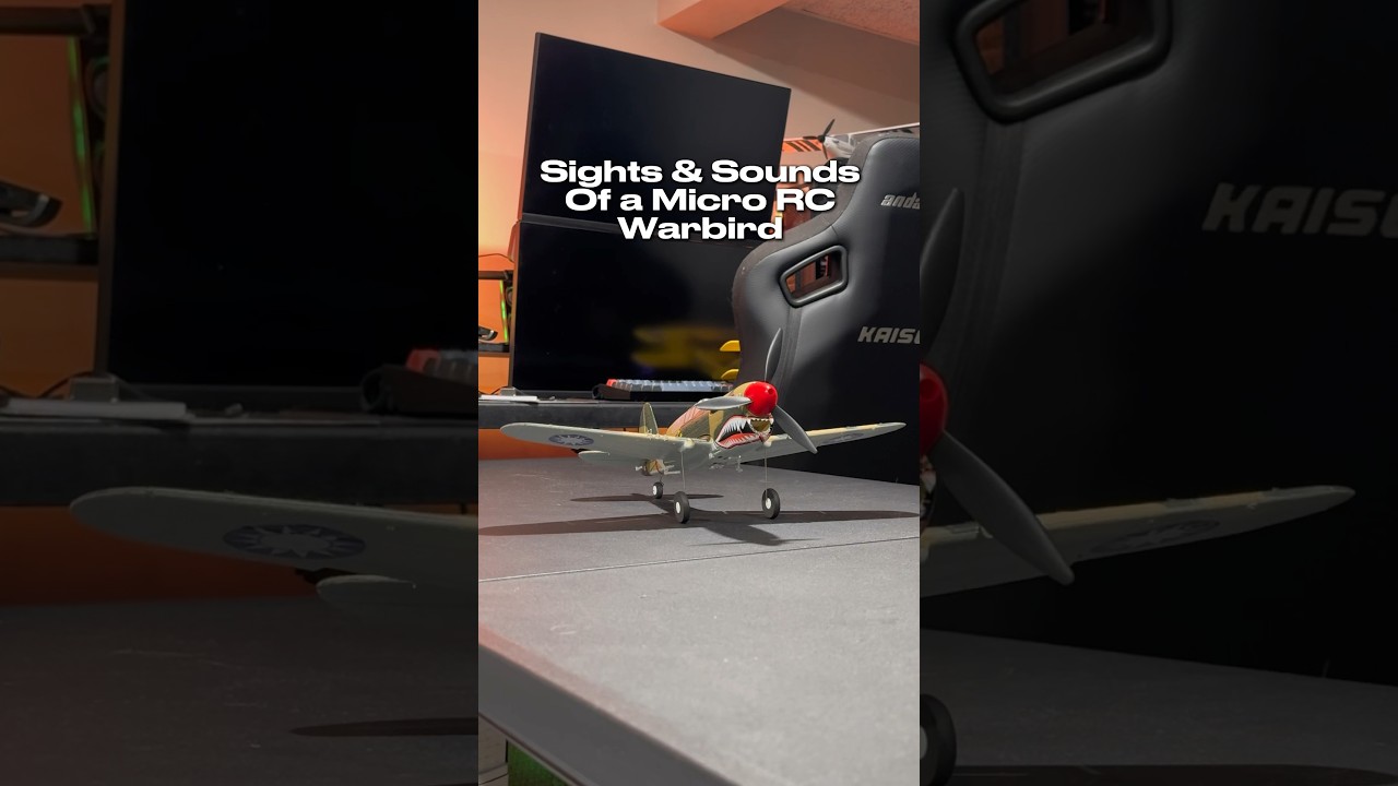 Experience the Thrill of a Warbird RC Plane in Action! ✈️